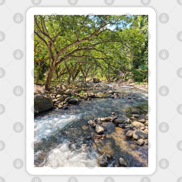 Mountain Stream, Jasaan, Misamis Oriental, Mindanao, Philippines Sticker by Upbeat Traveler